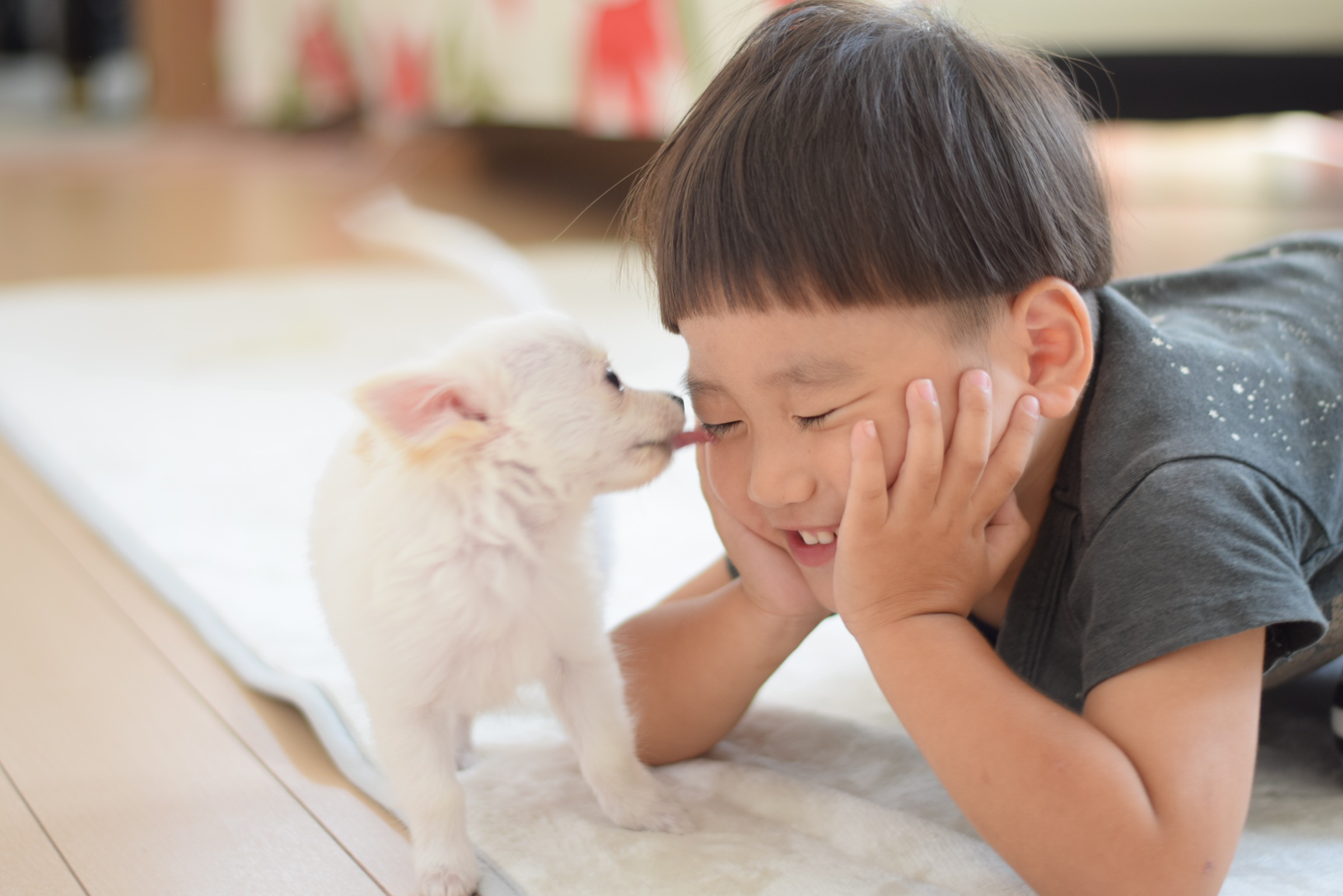子供の免疫力を高める効果のあるペット